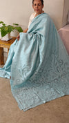 Powder blue applique designed saree
