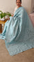 Powder blue applique designed saree