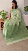 4XG - Light green tepchi organza saree