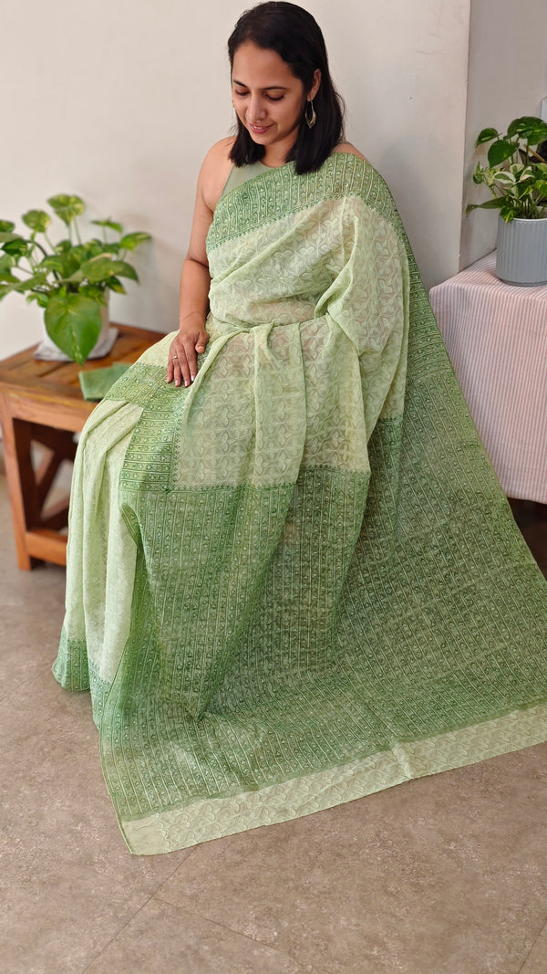 4XG - Light green tepchi organza saree