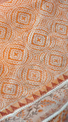 V220 - Orange printed net kota saree with chikankari palla