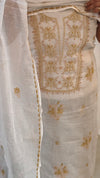 Beige chikankari on off white net kota suit
