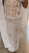 Beige chikankari on off white net kota suit