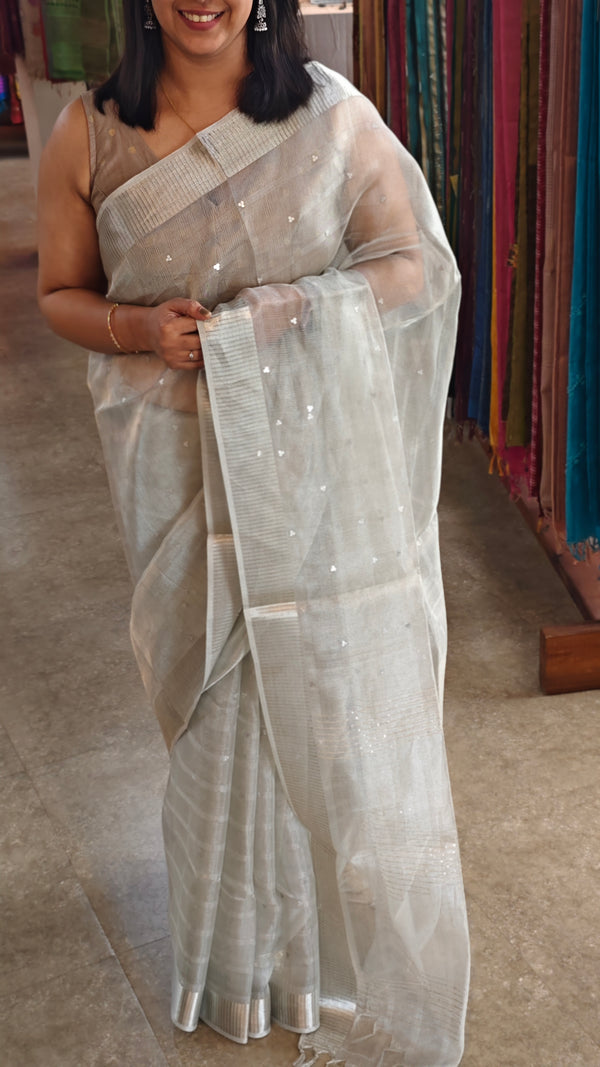 Silver tissue silk saree with sequins - SNM42 - 2M83