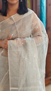 Silver tissue silk saree with sequins - SNM42 - 2M83