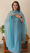 Baby blue embroidered organza suit - DCV14