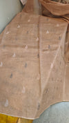 Nude pink lined noil tussar silk saree