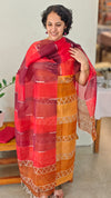 mustard and brown Organza salwar suit