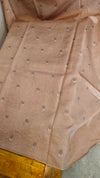 Beige embroidered tussar silk saree - RE398