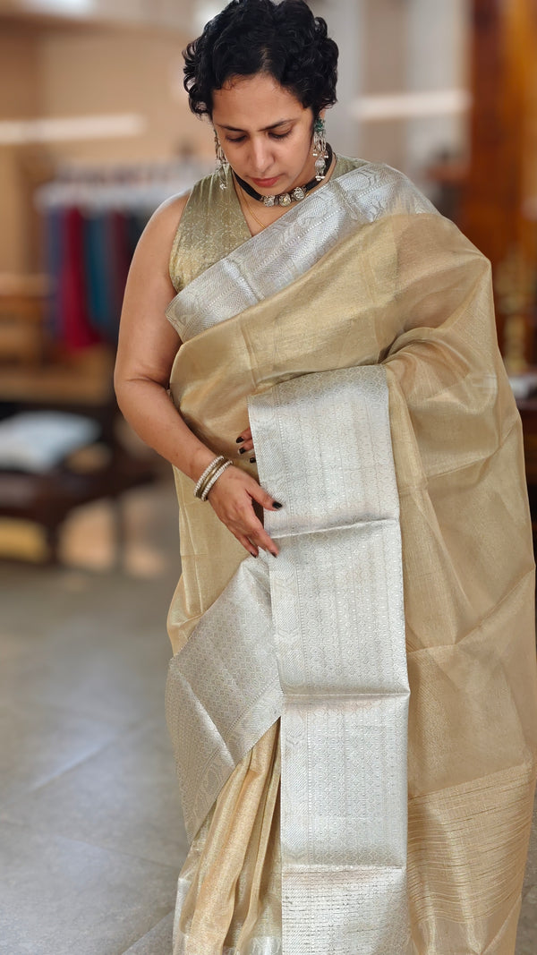 Golden and silver tissue saree