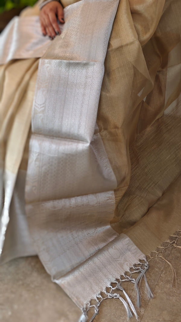 Golden and silver tissue saree