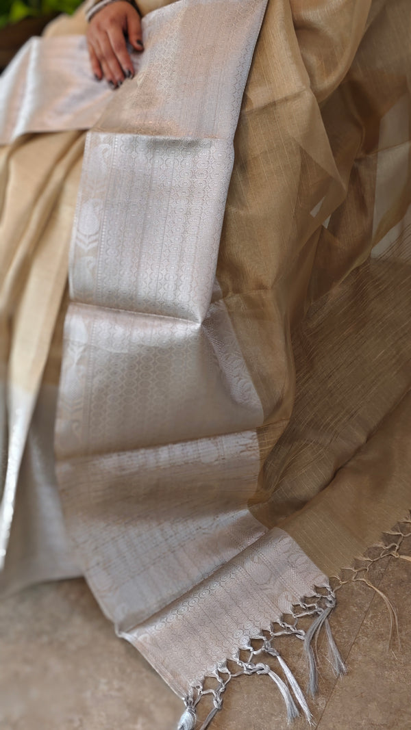 Golden and silver tissue saree