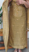 Lime mustard banarasi suit - FE308