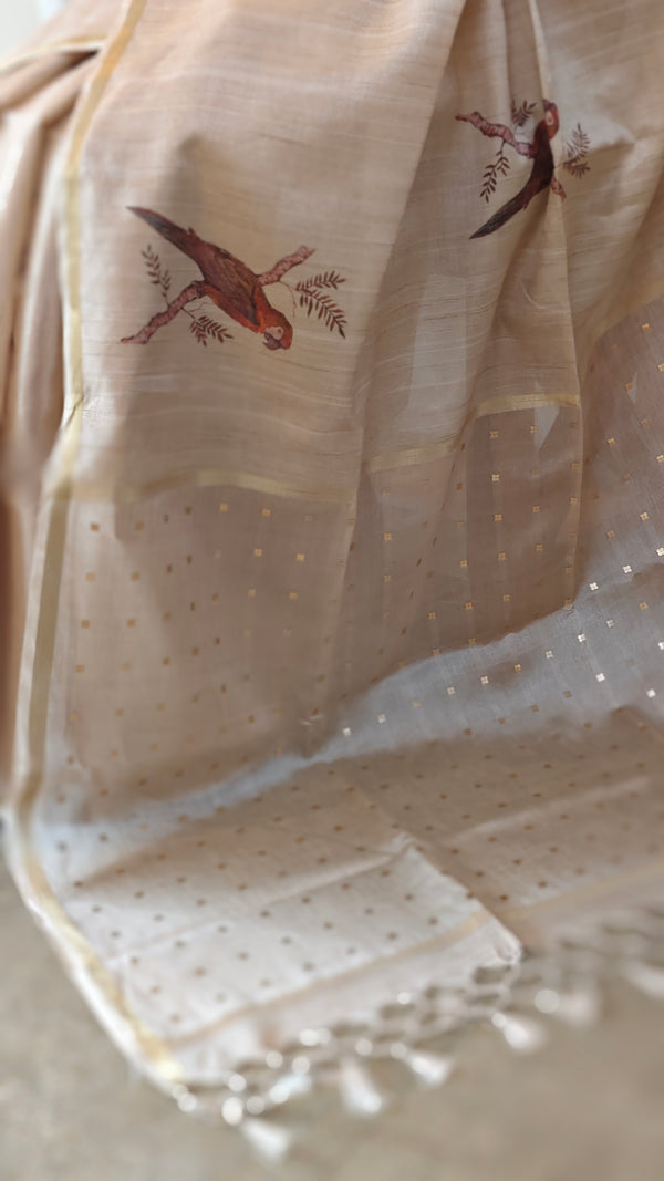 Beige semi tussar silk saree