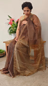 Dark Brown Organza saree- TD16