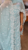 Baby blue Crepe George embroidered suit - ECK3