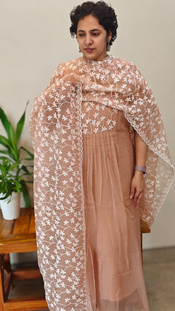 Nude Peach Tissue Organza suit - B904