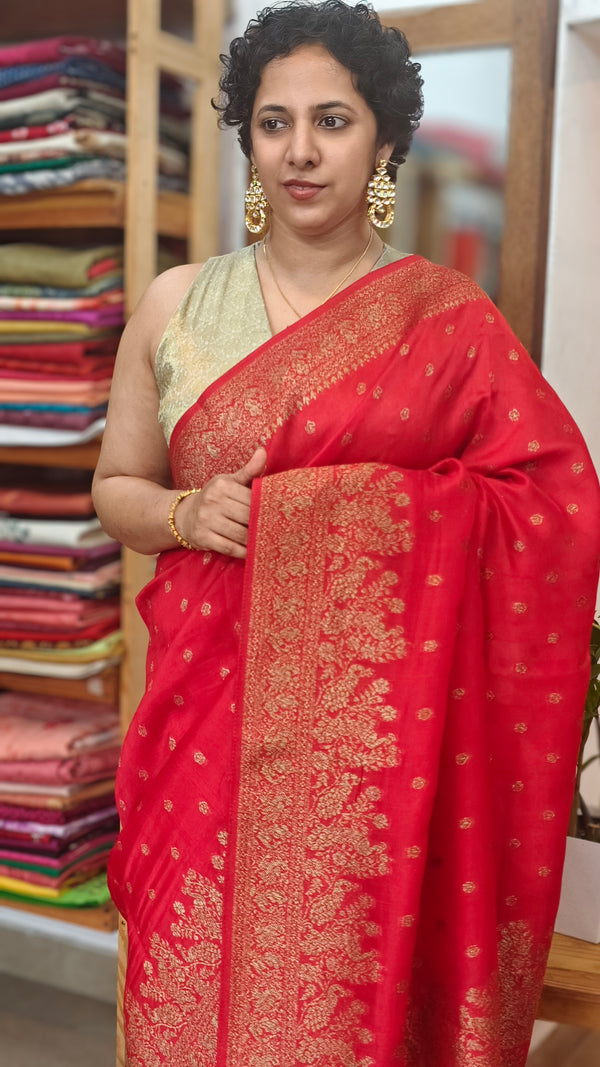 Chilli Red Banarasi Saree - BLM8 - R3
