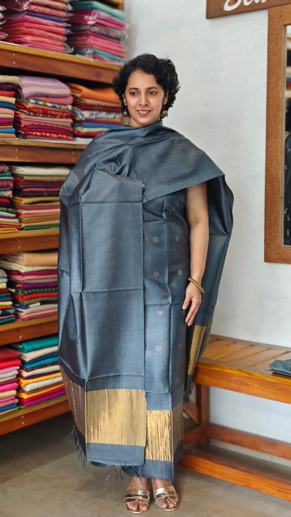 Bluish Grey and Gold Tussar Silk Suit - EN08