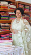 Pastel Mint Green Organza Applique Saree - PSG2