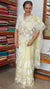 Pastel Yellow Applique Organza Saree - PSG2