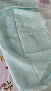 Ice Blue Organza Applique Saree - PSG2