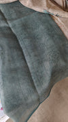 Printed Linen Tissue Saree - 3428 - Teal