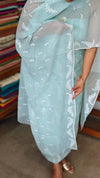 Aqua Blue Embroidered Crushed Organza Suit - PFV4 - A1