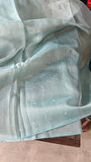 Aqua Blue Tissue Organza Saree with Mirror Work - 3637A