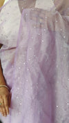 Lavender Tissue Organza Saree with Mirror Work - 3637A