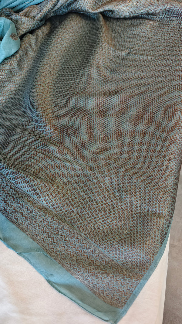 Aqua Mist Chinon Silk Banarasi Saree - CB492