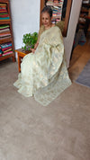 Pastel Green Linen Chanderi Saree with Golden Applique - D773