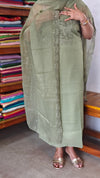 Sage Green Crushed Organza Cutwork Suit - M177