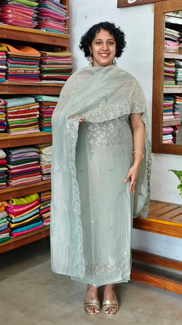 Powder Blue Embroidered Crushed Organza Suit - NJD3