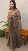 Hand embroidered organza saree