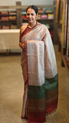 Printed tussar silk saree with multi color pallu
