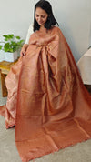 1VMS - Golden brown embroidered tussar silk saree