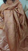 1VMS - Golden brown embroidered tussar silk saree