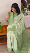 4XG - Light green tepchi organza saree