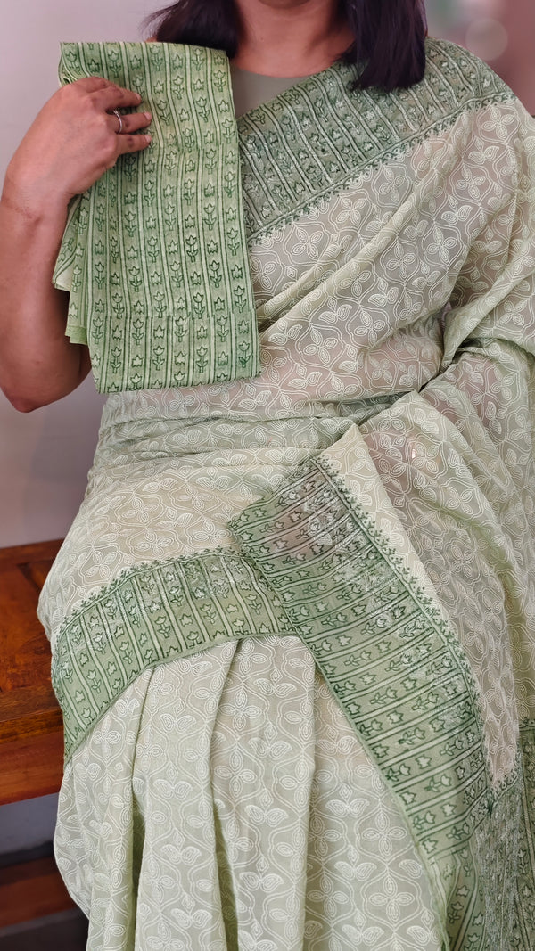 4XG - Light green tepchi organza saree