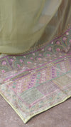 Lime green chikankari Organza saree - 1866