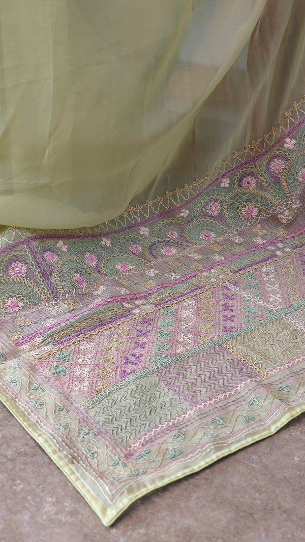 Lime green chikankari Organza saree - 1866