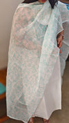 White and Mint green net kota suit