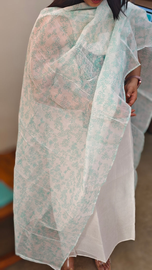 White and Mint green net kota suit