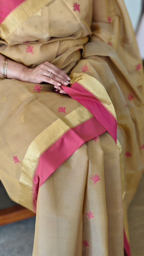 Beige cotton silk saree