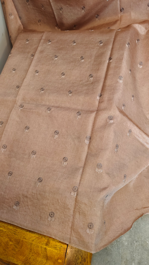 Beige embroidered tussar silk saree - RE398