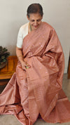 Nude brown embroidered tussar silk saree - TBR10