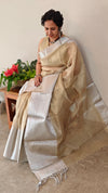Golden and silver tissue saree