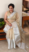 Golden and silver tissue saree