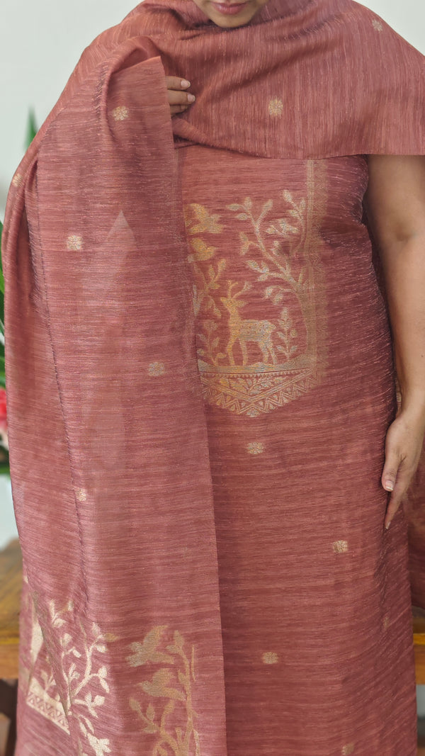 Rust shade banarasi suit - FE308